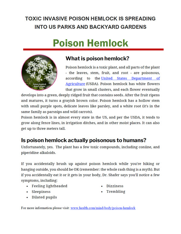 hemlock advisory