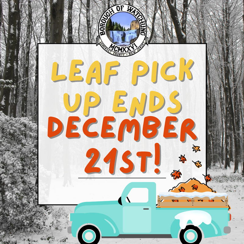 Leaf Pick Up Ends December 21st!