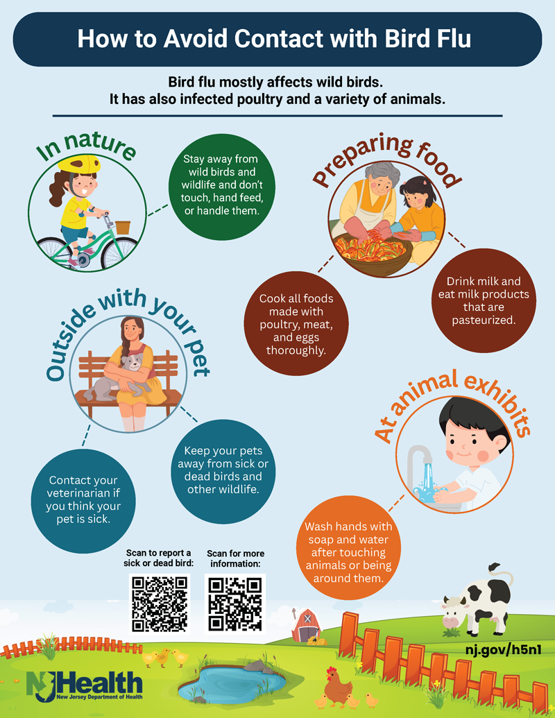Avian flu (H5) Prevention Flyer